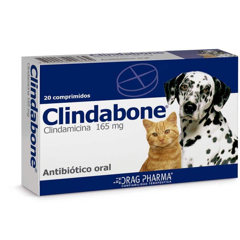 CLINDABONE 165 MG ANTIBIOTICO ORAL 20 COMPRIMIDOS