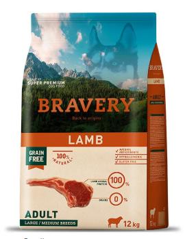 bravery
