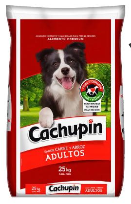 cachupin