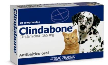 clinda