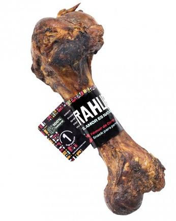femur