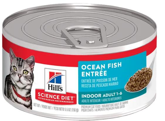 fish